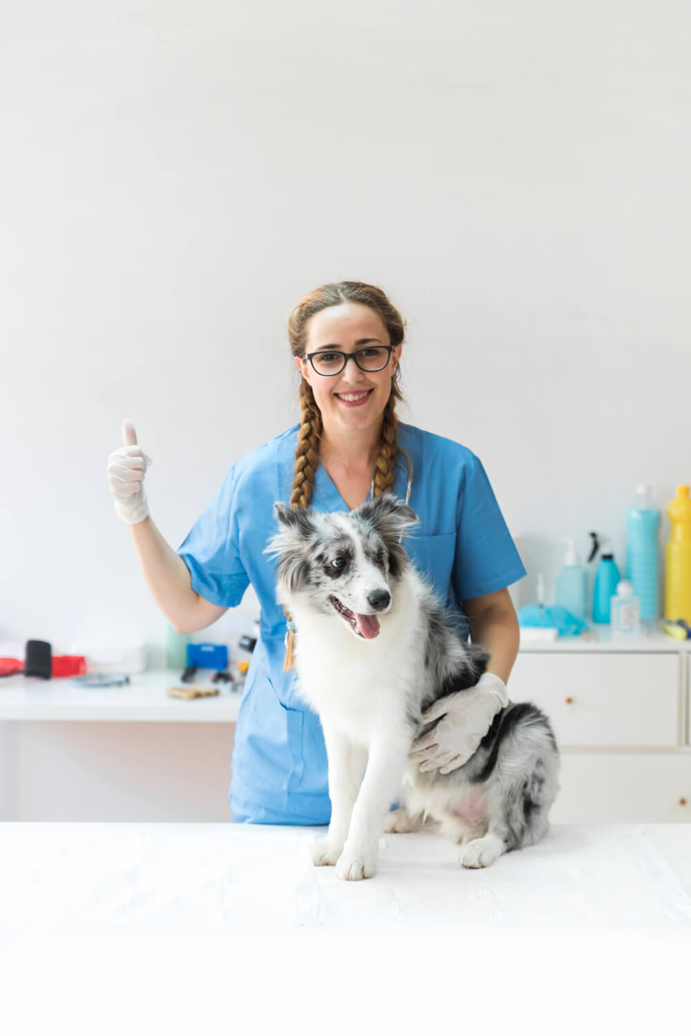 Agência Simi feliz-veterinario-feminino-com-cachorro-na-mesa-mostrando-sinal-de-thumbup